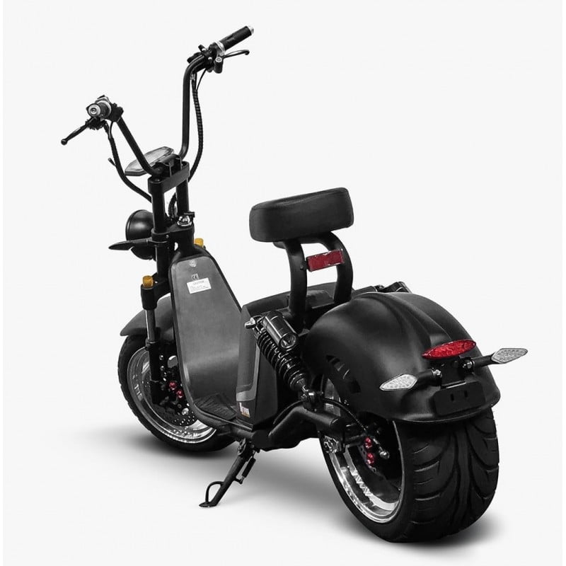 Unforgettable E-Chopper Rides around Bollenstreek’s Spectacular Bloemenvelden